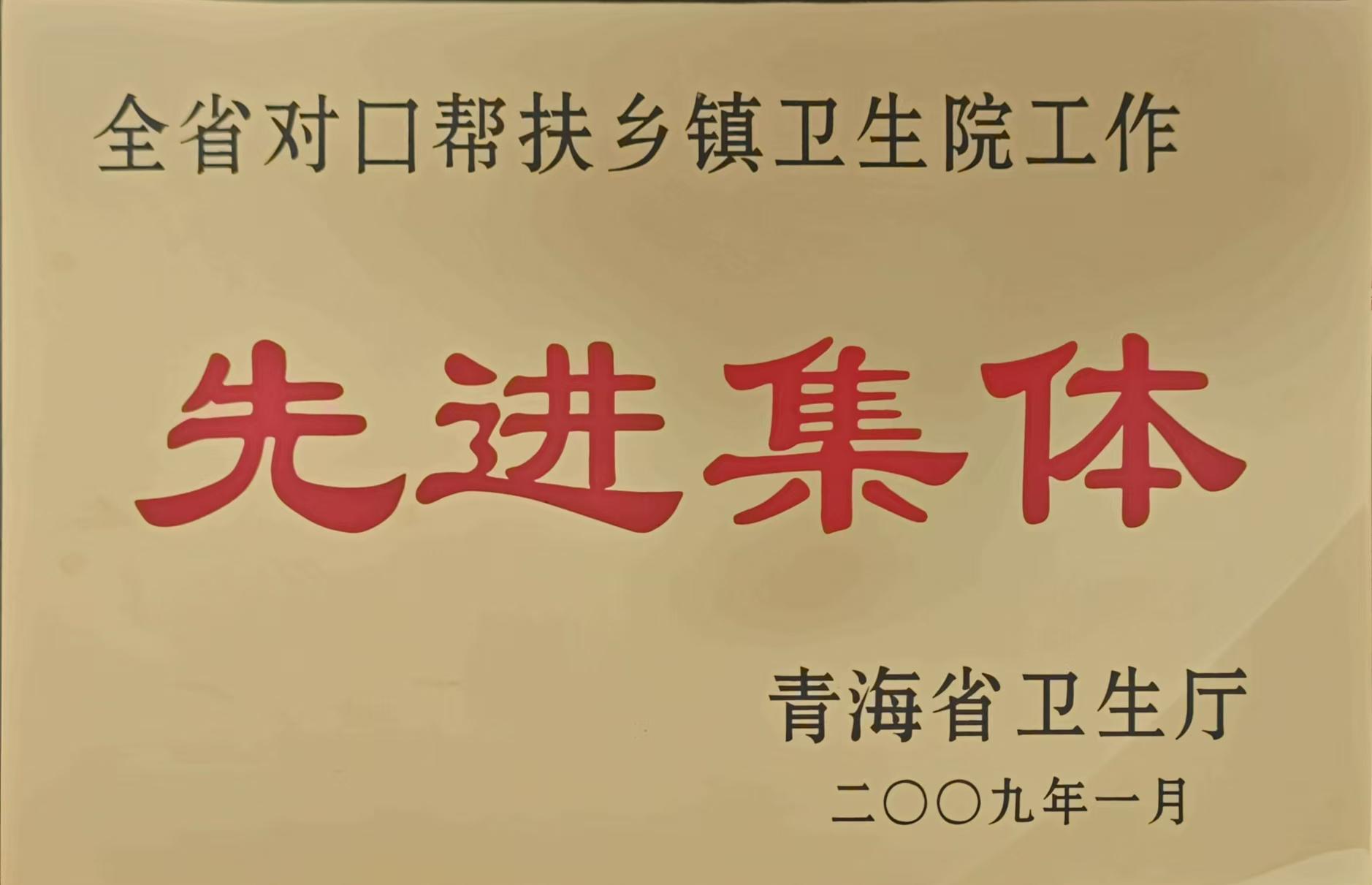 2009全省对口帮扶卫生院工作先进集体.jpg