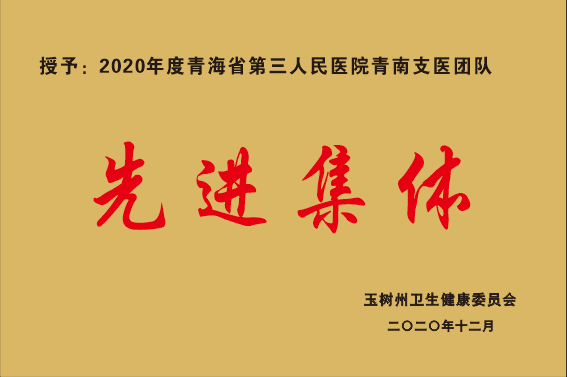 2020年青南支医先进集体.png