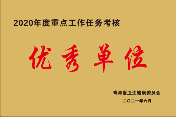 2020年重点工作任务考核优秀单位.png