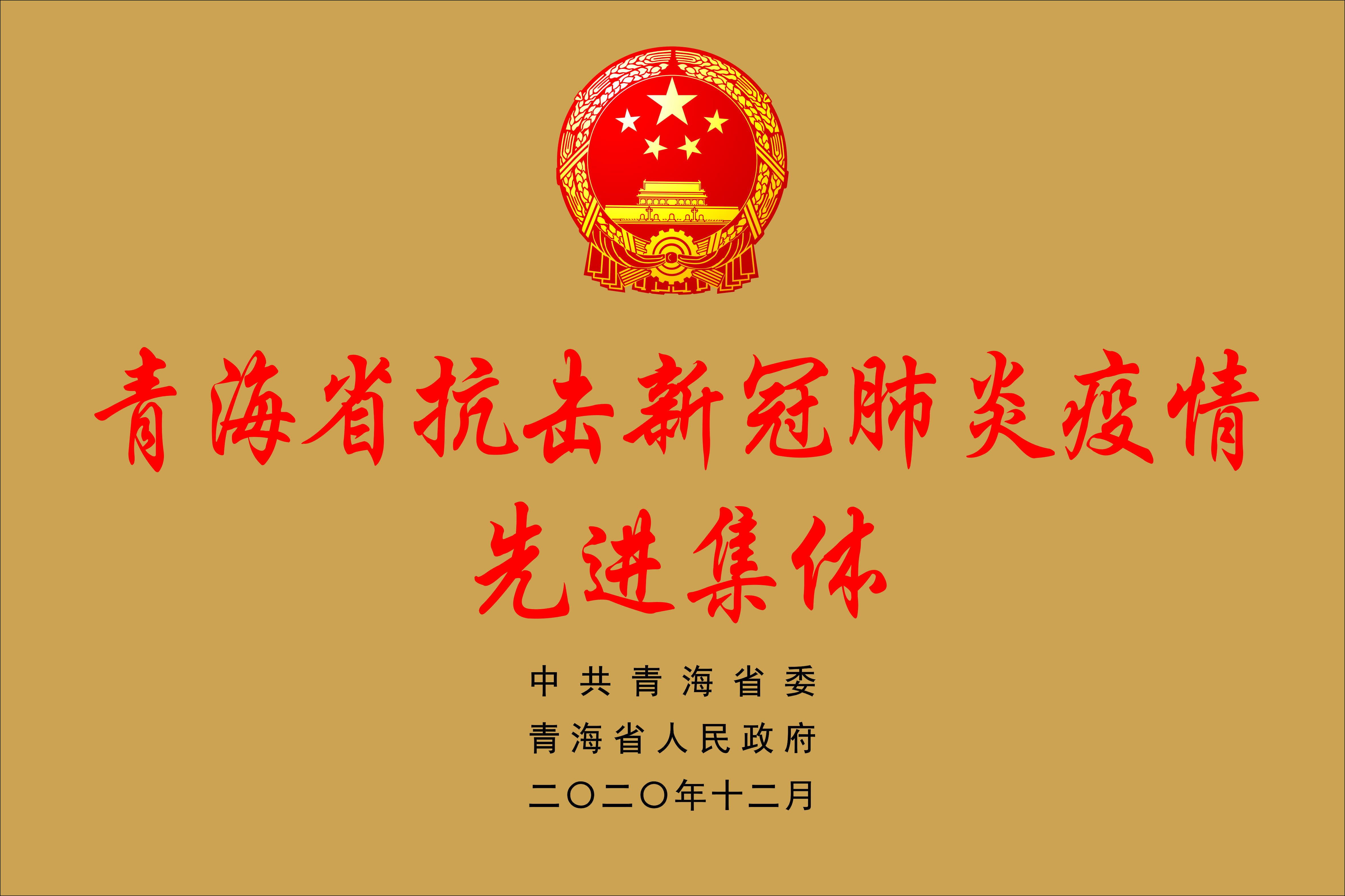 抗击疫情先进集体.jpg