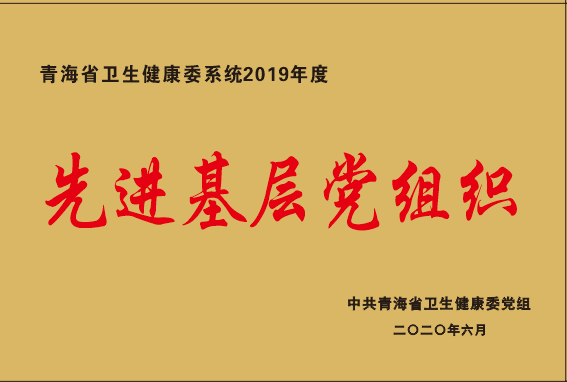 先进基层党组织2019年.png