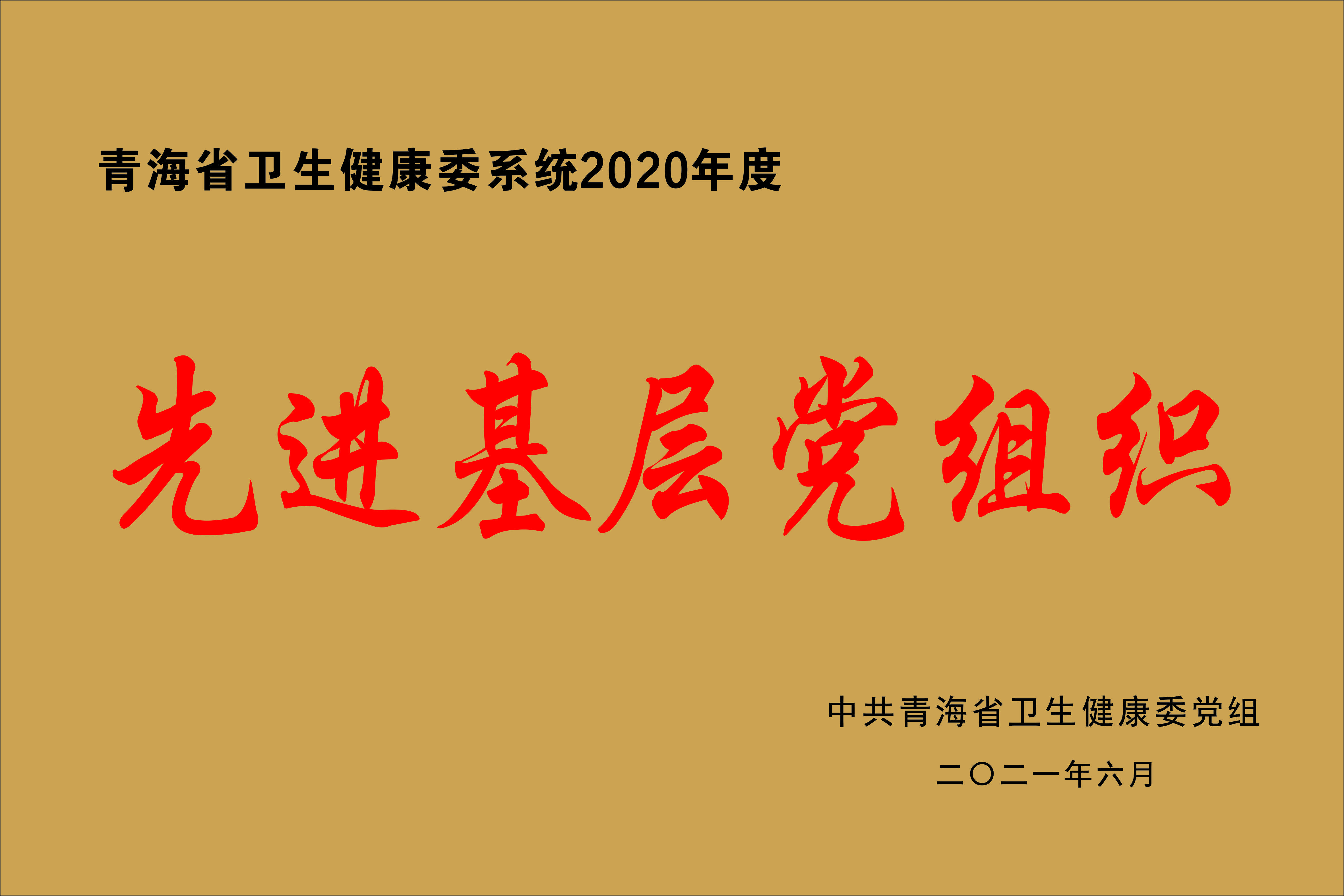 先进基层党组织2020年.jpg